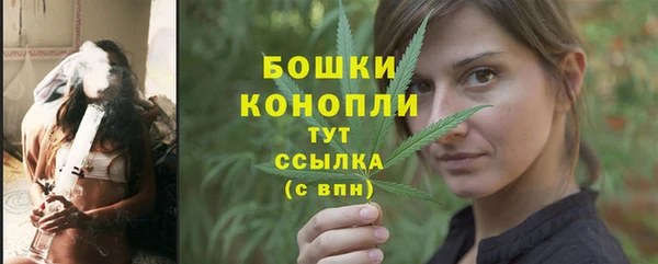 мдпв Лагань