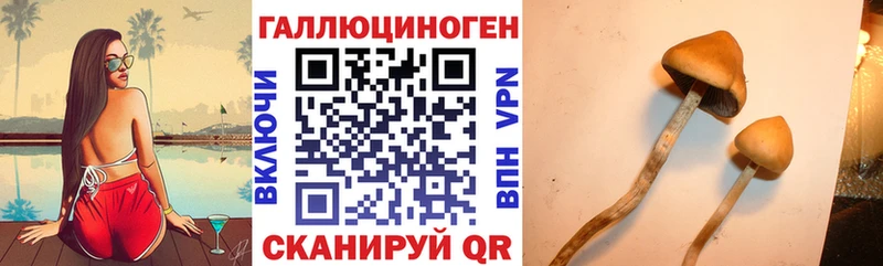 Галлюциногенные грибы ЛСД  Соль-Илецк 