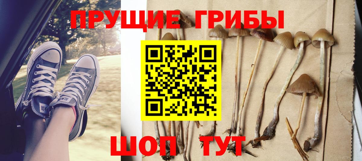 Галлюциногенные грибы прущие грибы  Галлюциногенные грибы Psilocybe  Соль-Илецк  Вход с VPN 